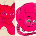 cat-confidence Lead Generation Confidence